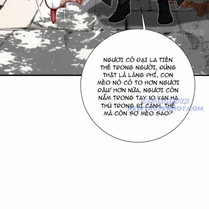 Gặp Mạnh Thì Càng Mạnh, Tu Vi Của Ta Không Giới Hạn 21 trang 13