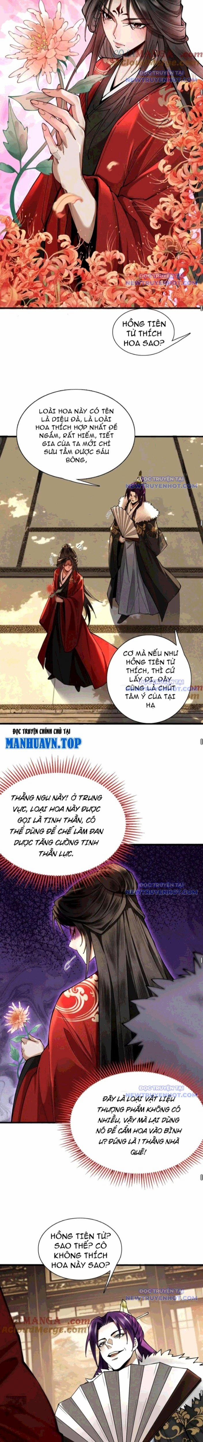 Gặp Mạnh Thì Càng Mạnh, Tu Vi Của Ta Không Giới Hạn 28 trang 11