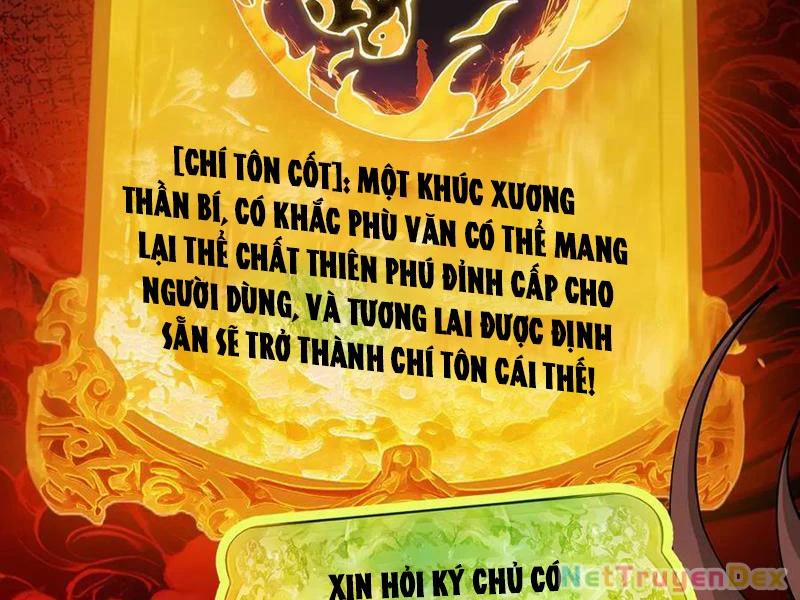 Gặp Mạnh Thì Mạnh, Ta Tu Vi Vô Thượng Hạn 11 trang 1