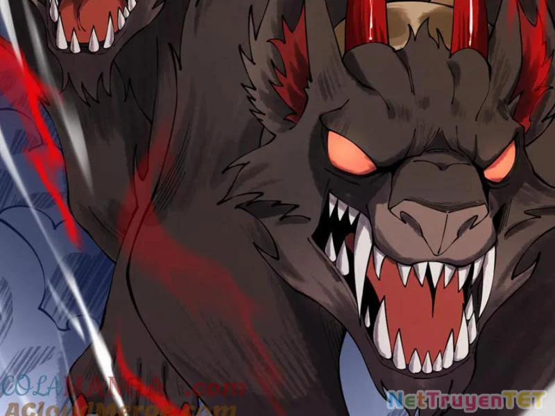 Gặp Mạnh Thì Mạnh, Ta Tu Vi Vô Thượng Hạn 12 trang 77