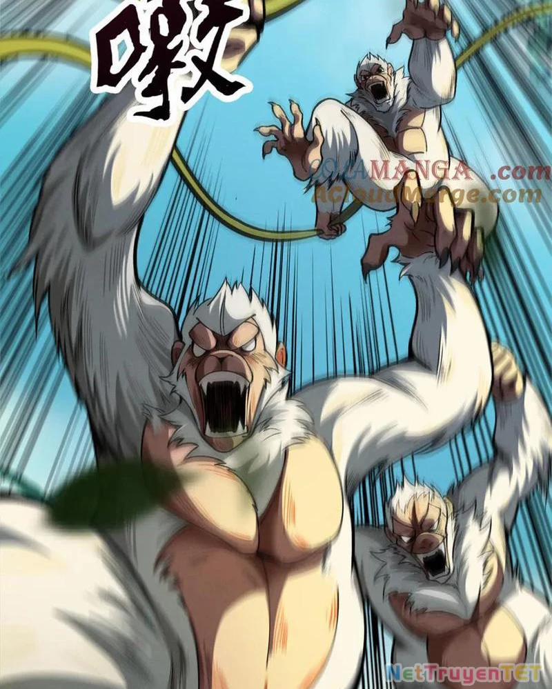 Gặp Mạnh Thì Mạnh, Ta Tu Vi Vô Thượng Hạn 16 trang 64