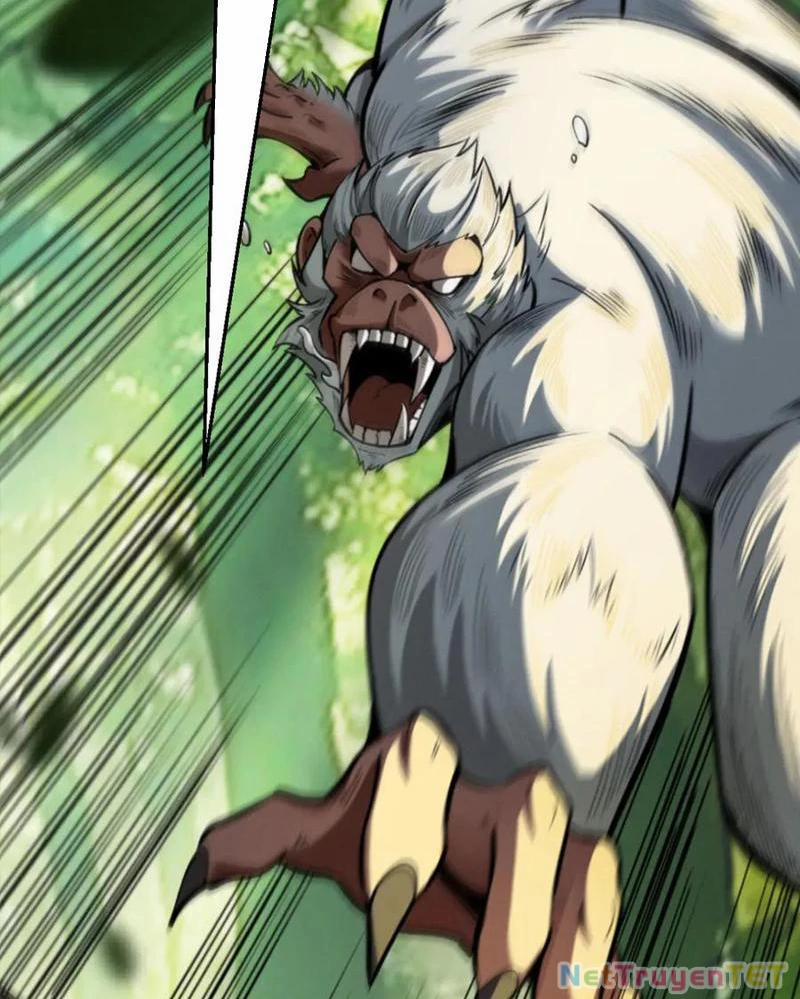 Gặp Mạnh Thì Mạnh, Ta Tu Vi Vô Thượng Hạn 16 trang 88