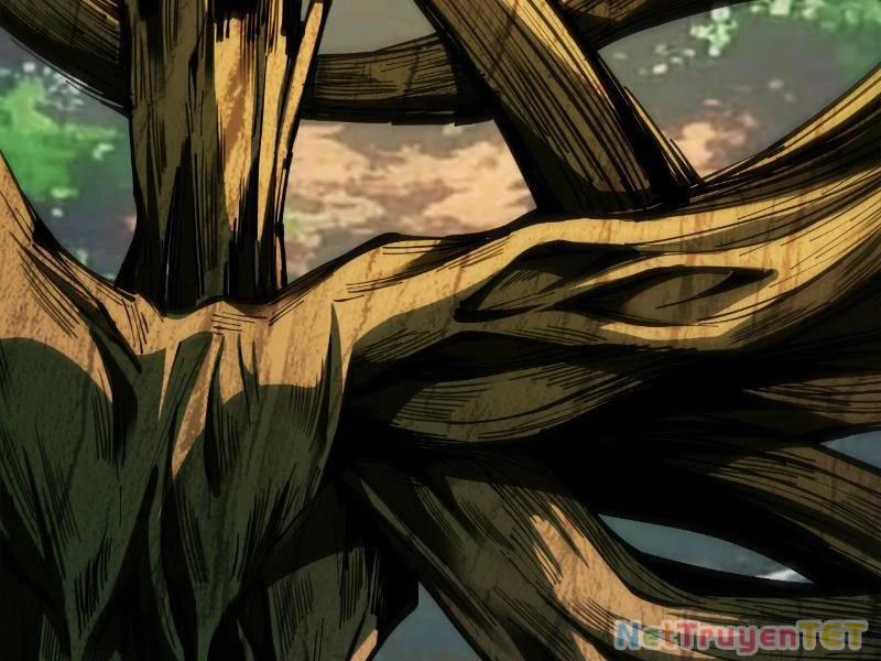 Gặp Mạnh Thì Mạnh, Ta Tu Vi Vô Thượng Hạn 17 trang 162