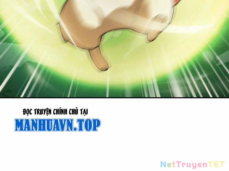 Gặp Mạnh Thì Mạnh, Ta Tu Vi Vô Thượng Hạn 17 trang 36