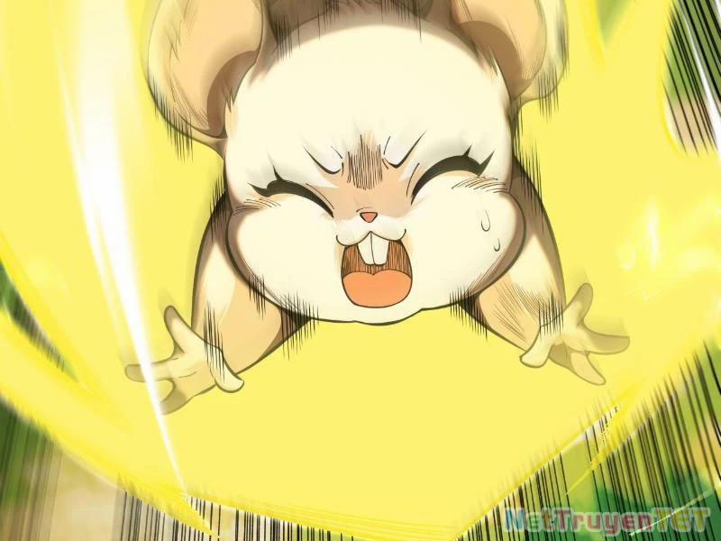 Gặp Mạnh Thì Mạnh, Ta Tu Vi Vô Thượng Hạn 17 trang 50