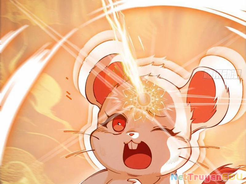 Gặp Mạnh Thì Mạnh, Ta Tu Vi Vô Thượng Hạn 19 trang 6