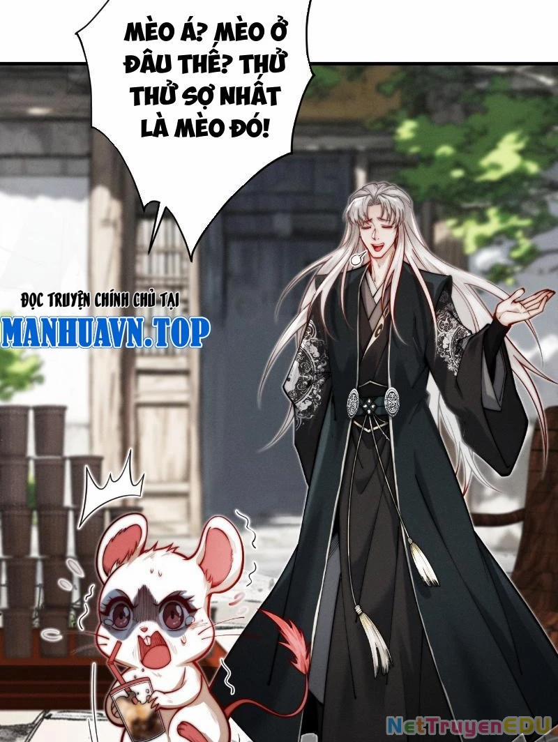 Gặp Mạnh Thì Mạnh, Ta Tu Vi Vô Thượng Hạn 21 trang 9