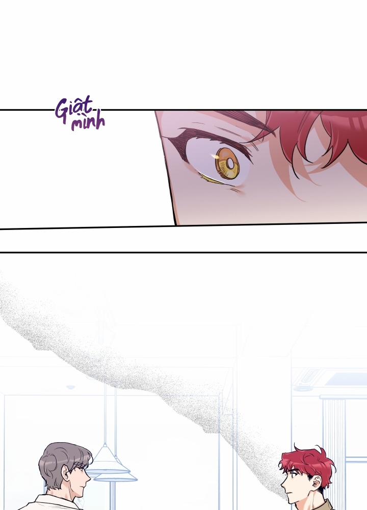 Gâu Gâu! 10 trang 11