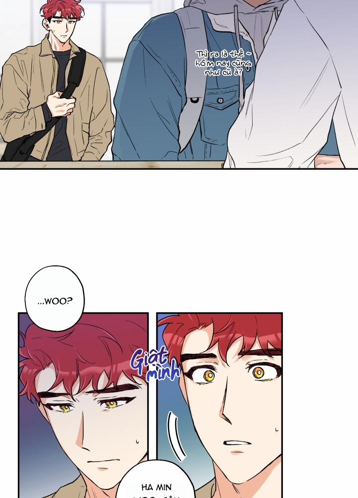 Gâu Gâu! 10 trang 14