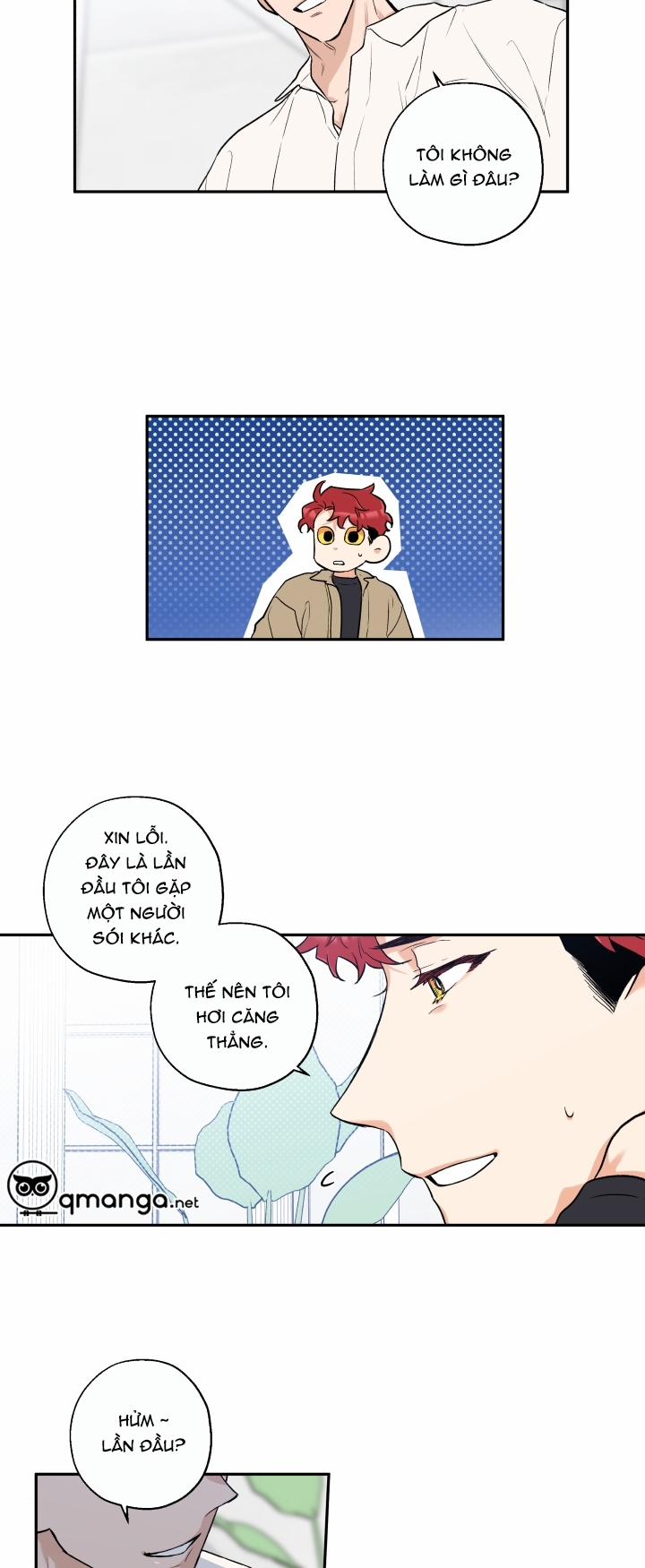 Gâu Gâu! 10 trang 21