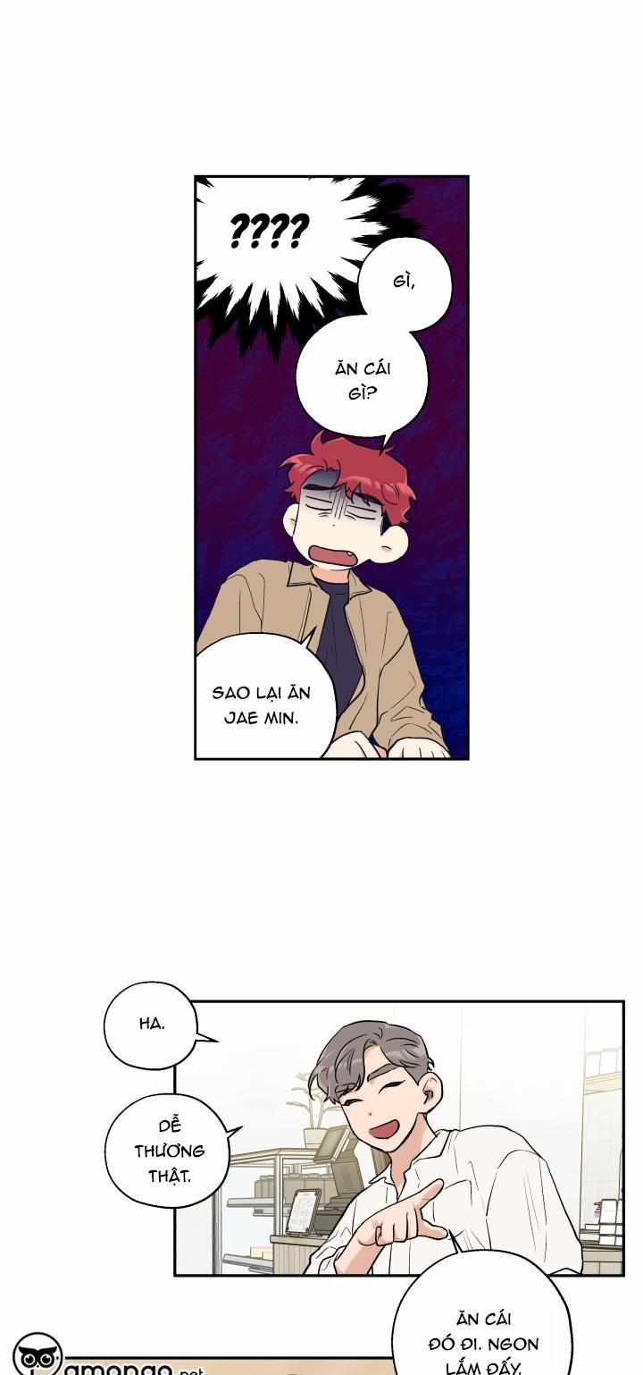 Gâu Gâu! 10 trang 24