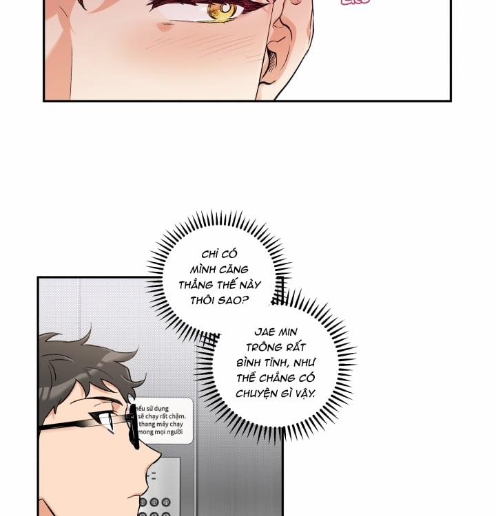 Gâu Gâu! 11 trang 2