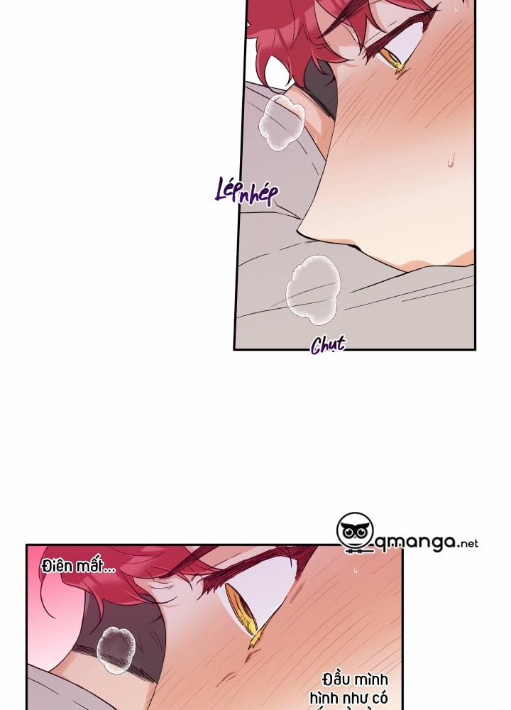 Gâu Gâu! 11 trang 25