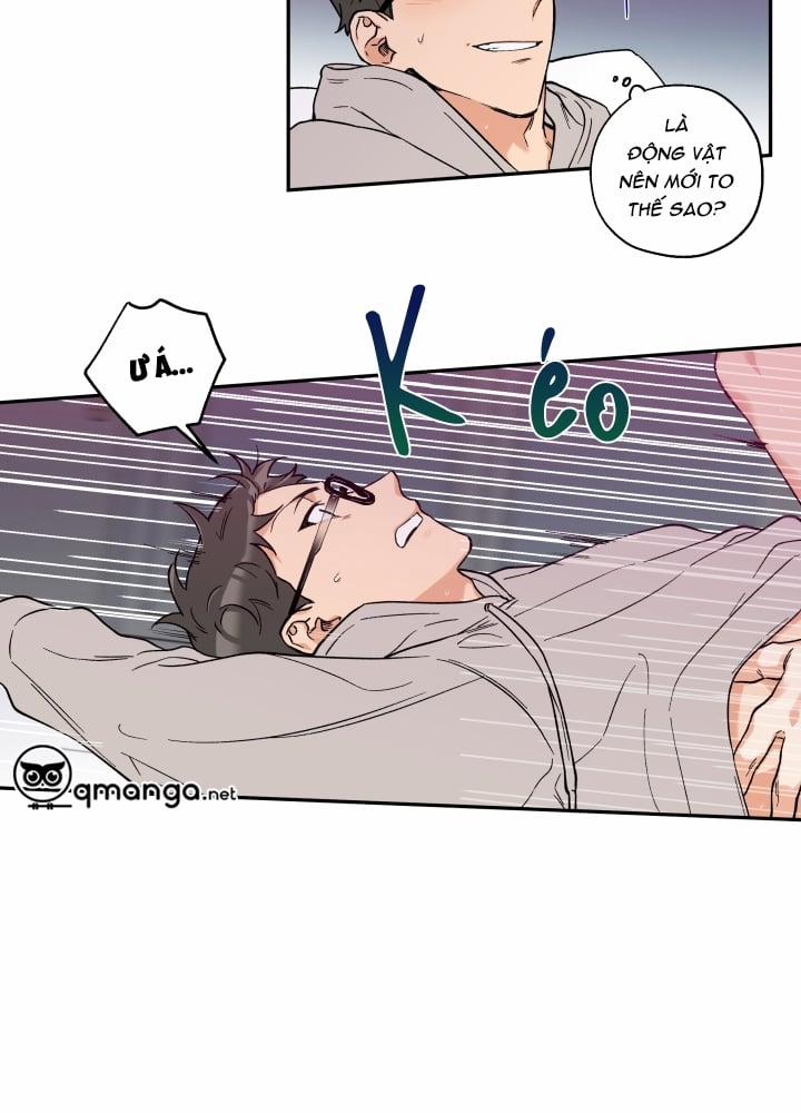 Gâu Gâu! 11 trang 33