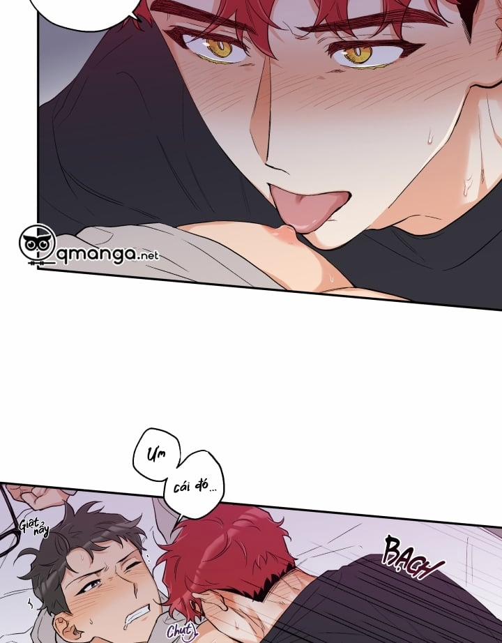 Gâu Gâu! 11 trang 41