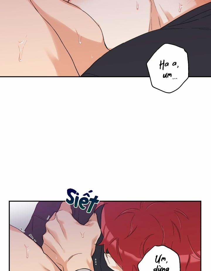 Gâu Gâu! 11 trang 44