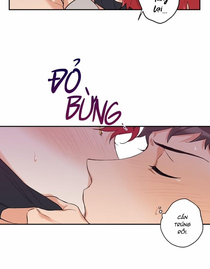 Gâu Gâu! 11 trang 45