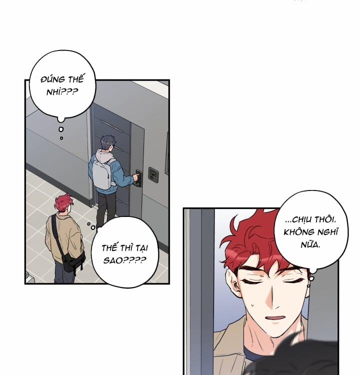 Gâu Gâu! 11 trang 6