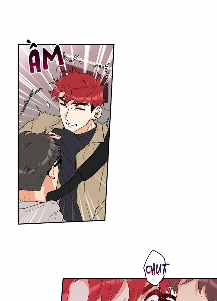 Gâu Gâu! 11 trang 8