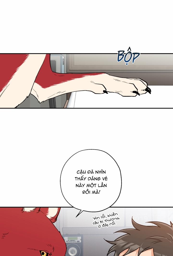 Gâu Gâu! 12 trang 10