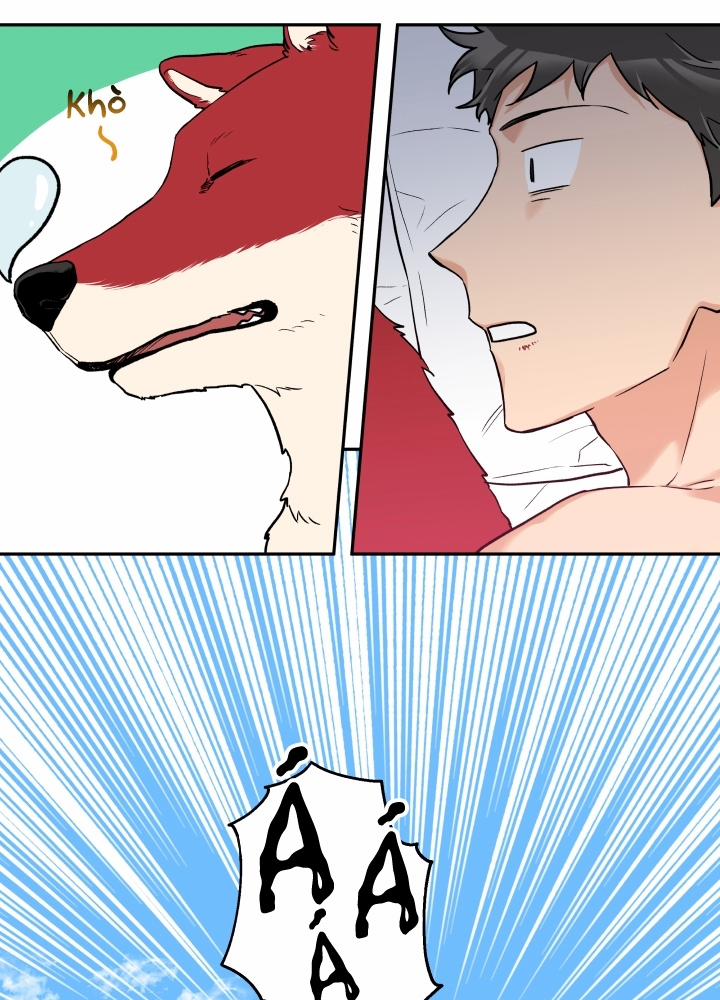 Gâu Gâu! 12 trang 5