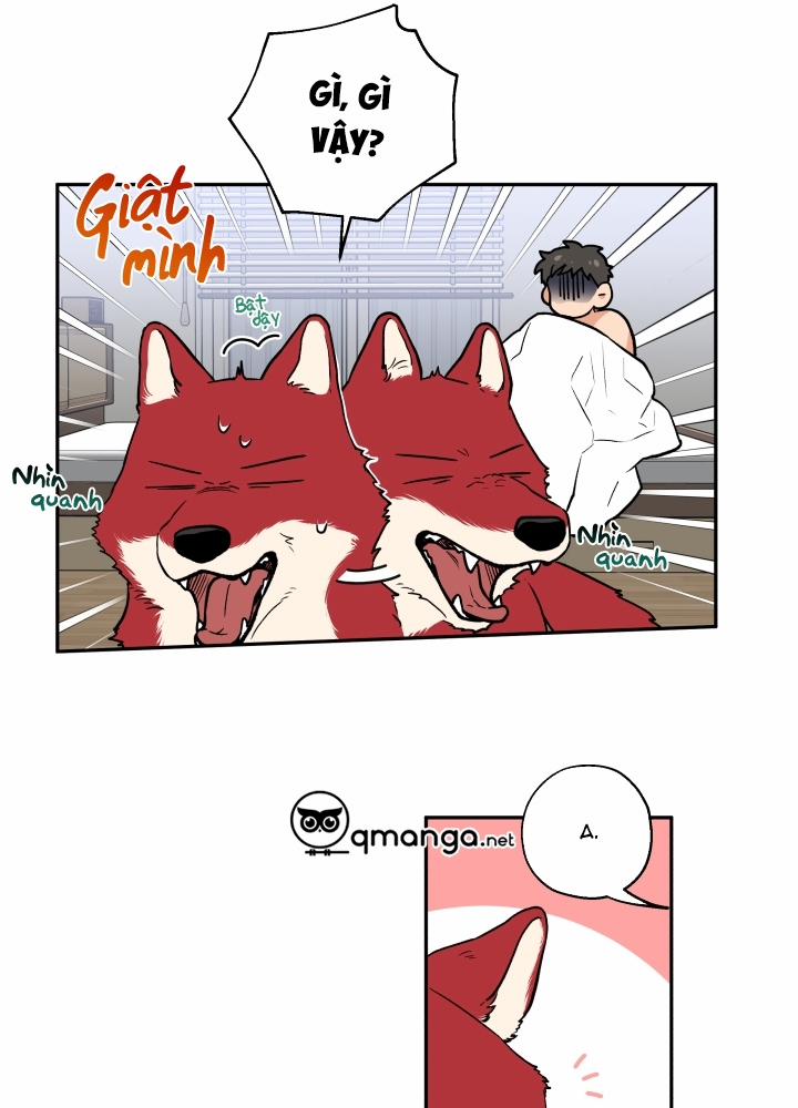 Gâu Gâu! 12 trang 8