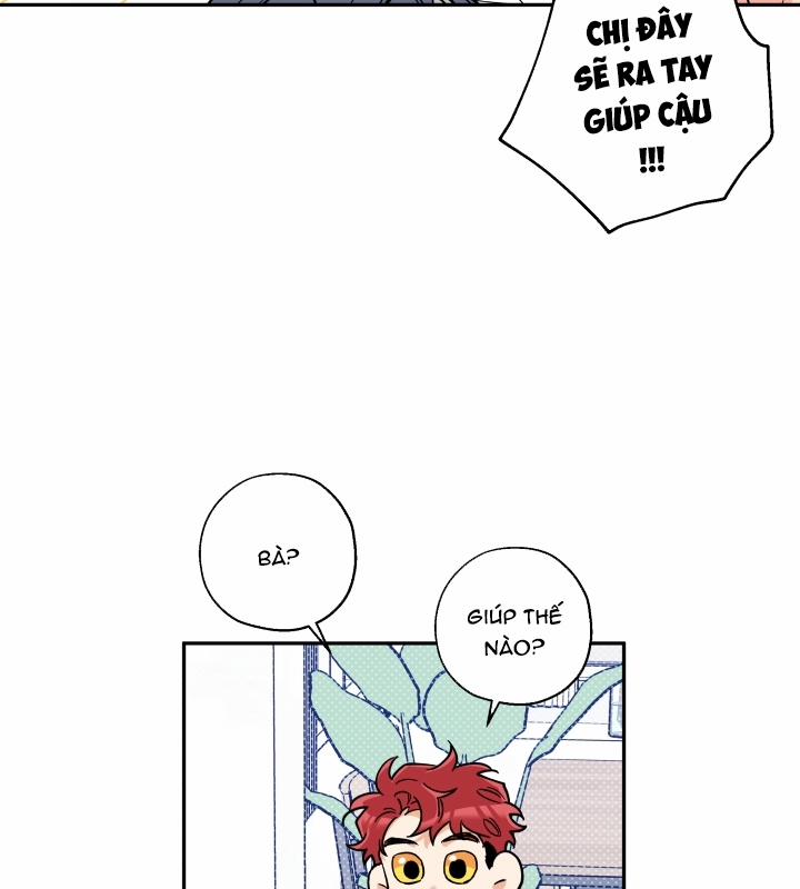 Gâu Gâu! 13 trang 35