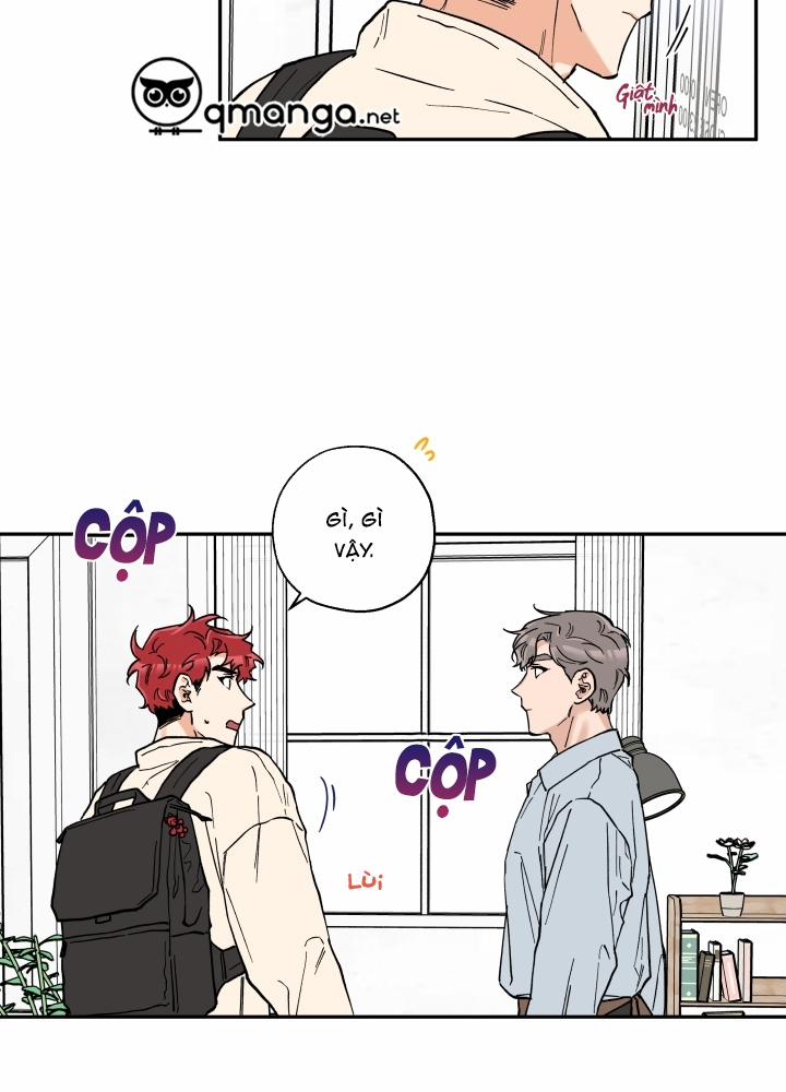 Gâu Gâu! 14 trang 3