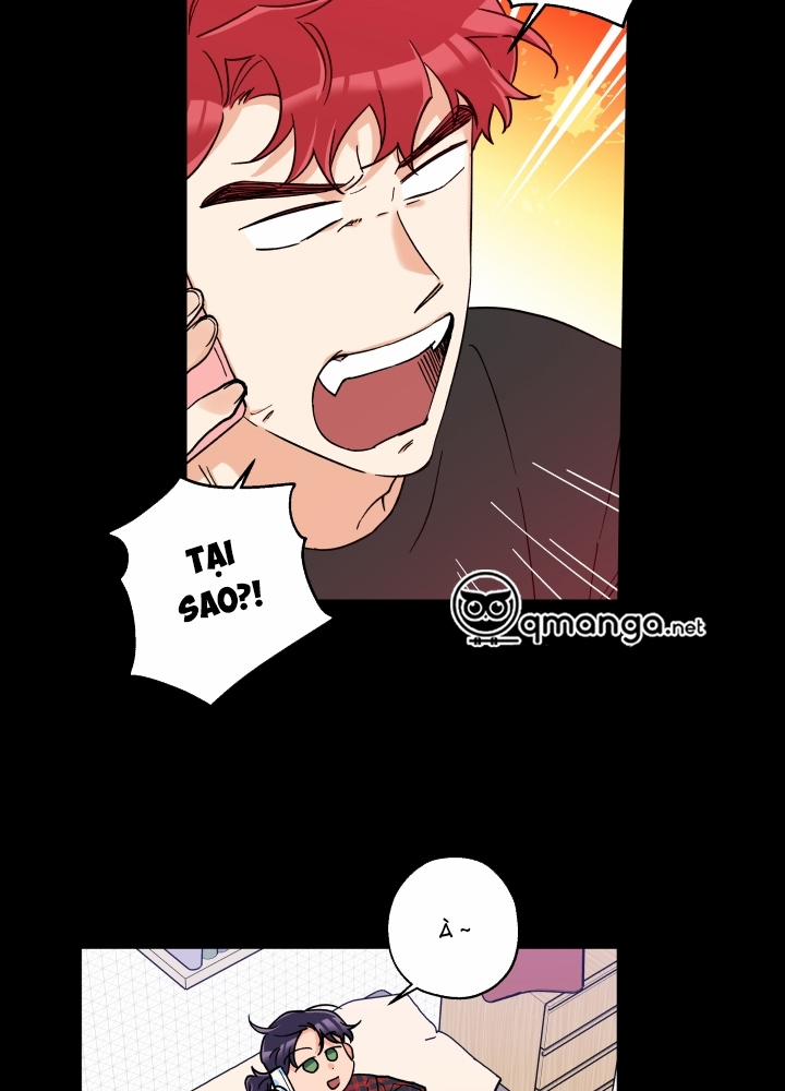 Gâu Gâu! 14 trang 31