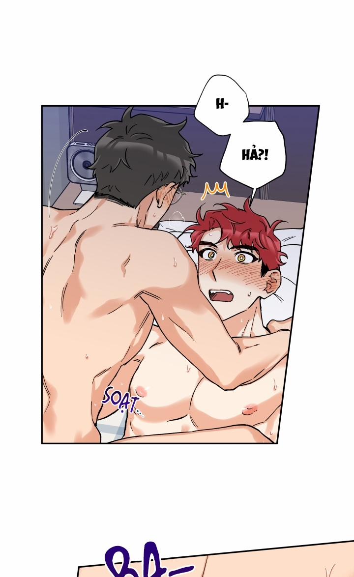 Gâu Gâu! 14 trang 40