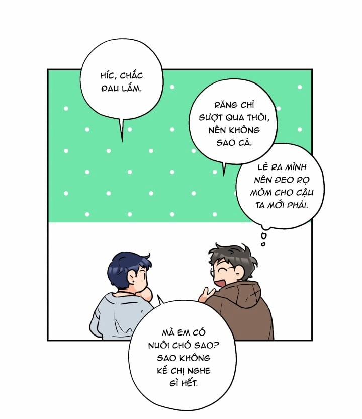 Gâu Gâu! 15 trang 37