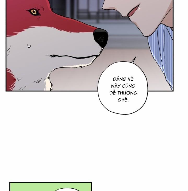 Gâu Gâu! 18 trang 68