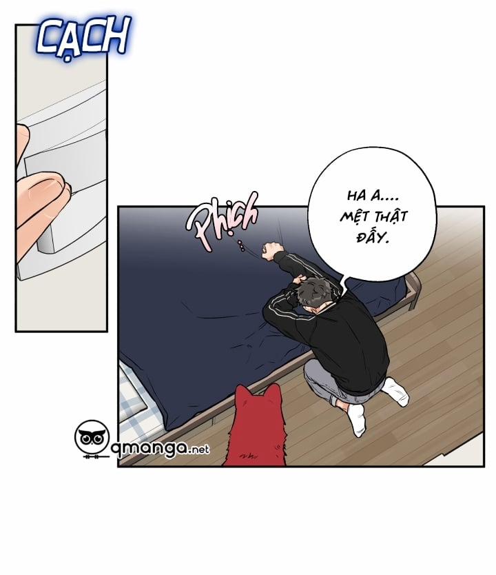 Gâu Gâu! 19 trang 15