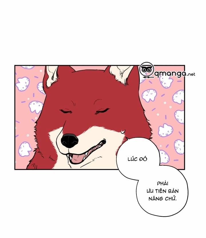 Gâu Gâu! 19 trang 19