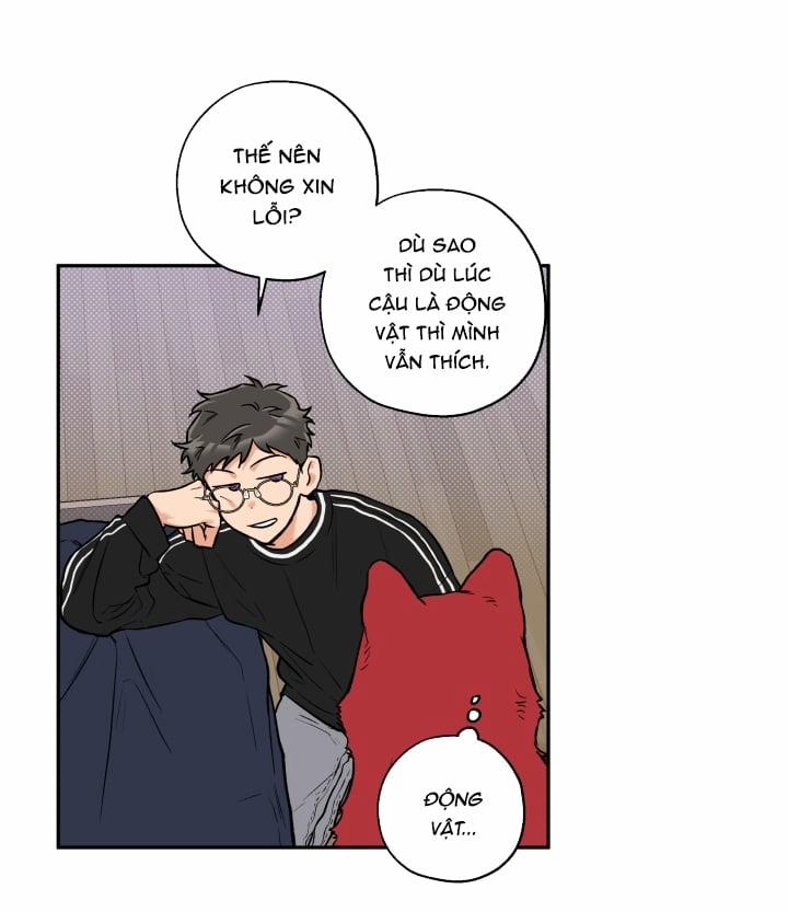 Gâu Gâu! 19 trang 20