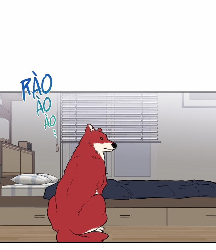 Gâu Gâu! 19 trang 22