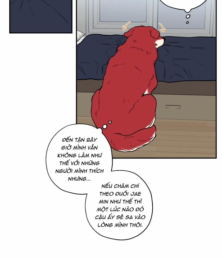 Gâu Gâu! 19 trang 24