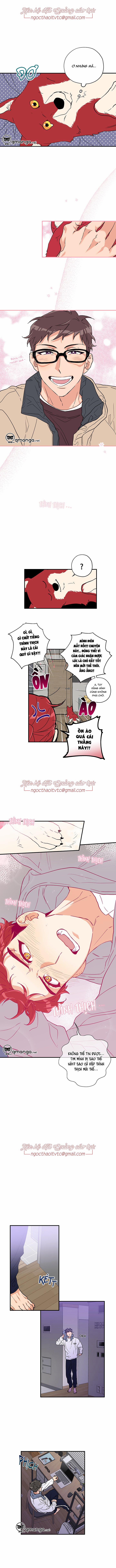 Gâu Gâu! 2 trang 8