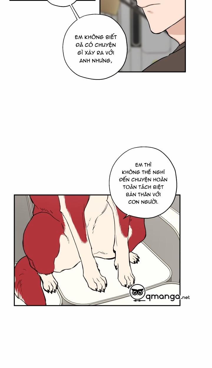 Gâu Gâu! 21 trang 11