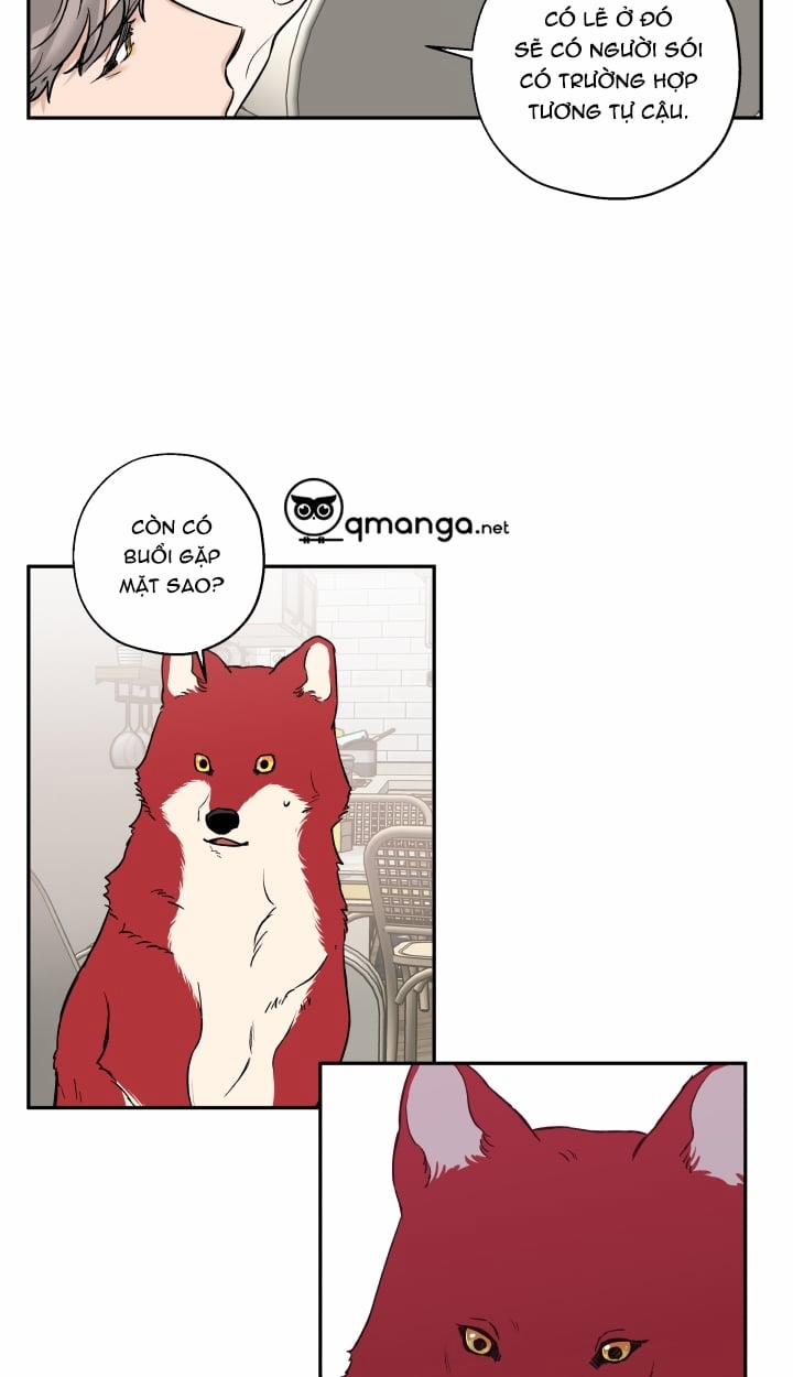 Gâu Gâu! 21 trang 15