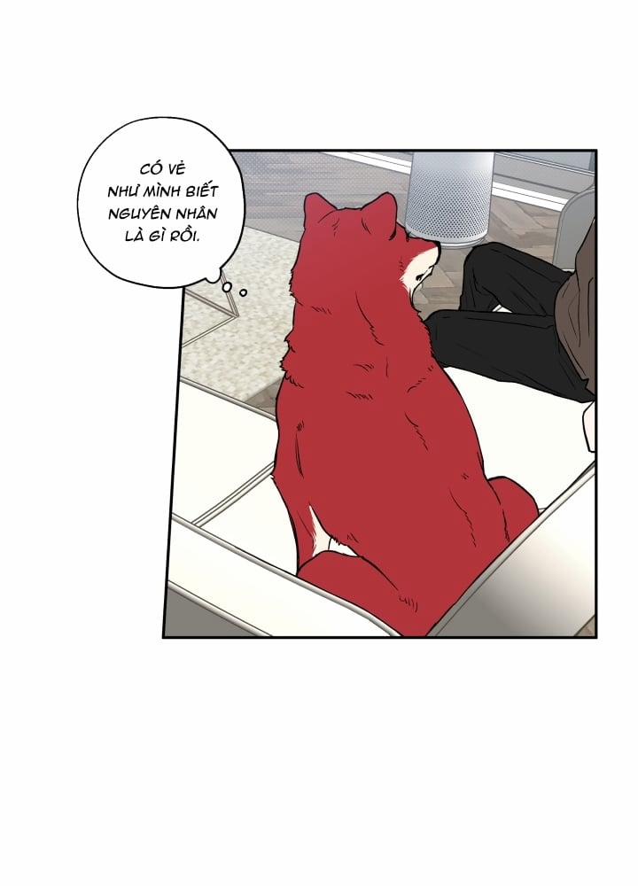 Gâu Gâu! 21 trang 17