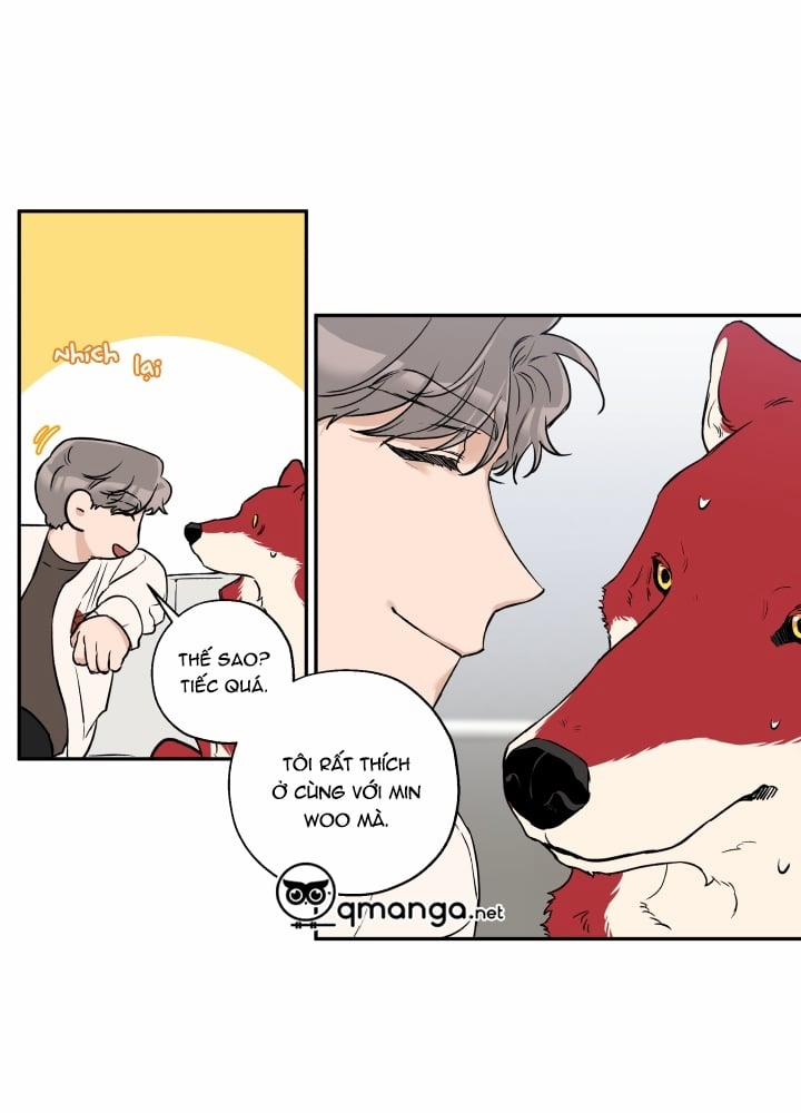 Gâu Gâu! 21 trang 18