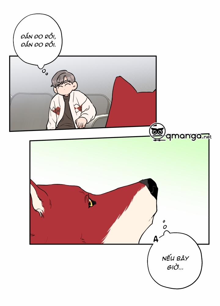 Gâu Gâu! 21 trang 22