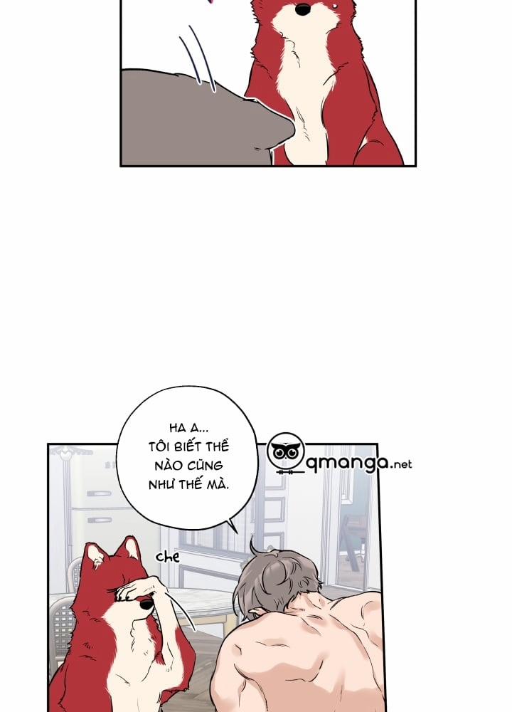 Gâu Gâu! 21 trang 3