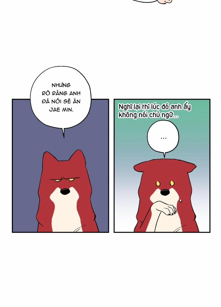 Gâu Gâu! 21 trang 7