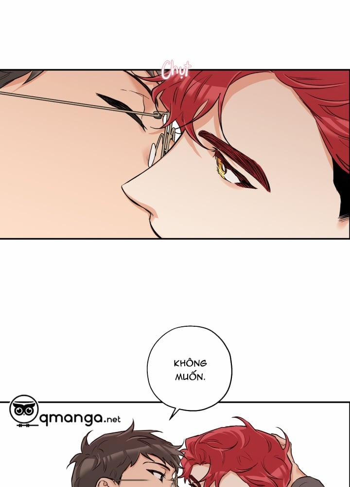 Gâu Gâu! 23 trang 11