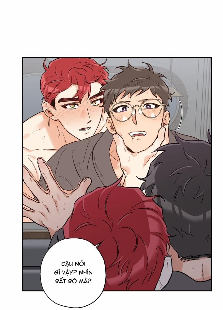 Gâu Gâu! 23 trang 41