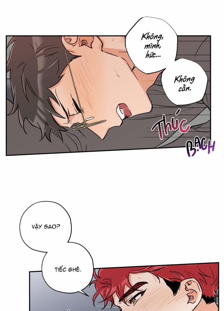 Gâu Gâu! 23 trang 45