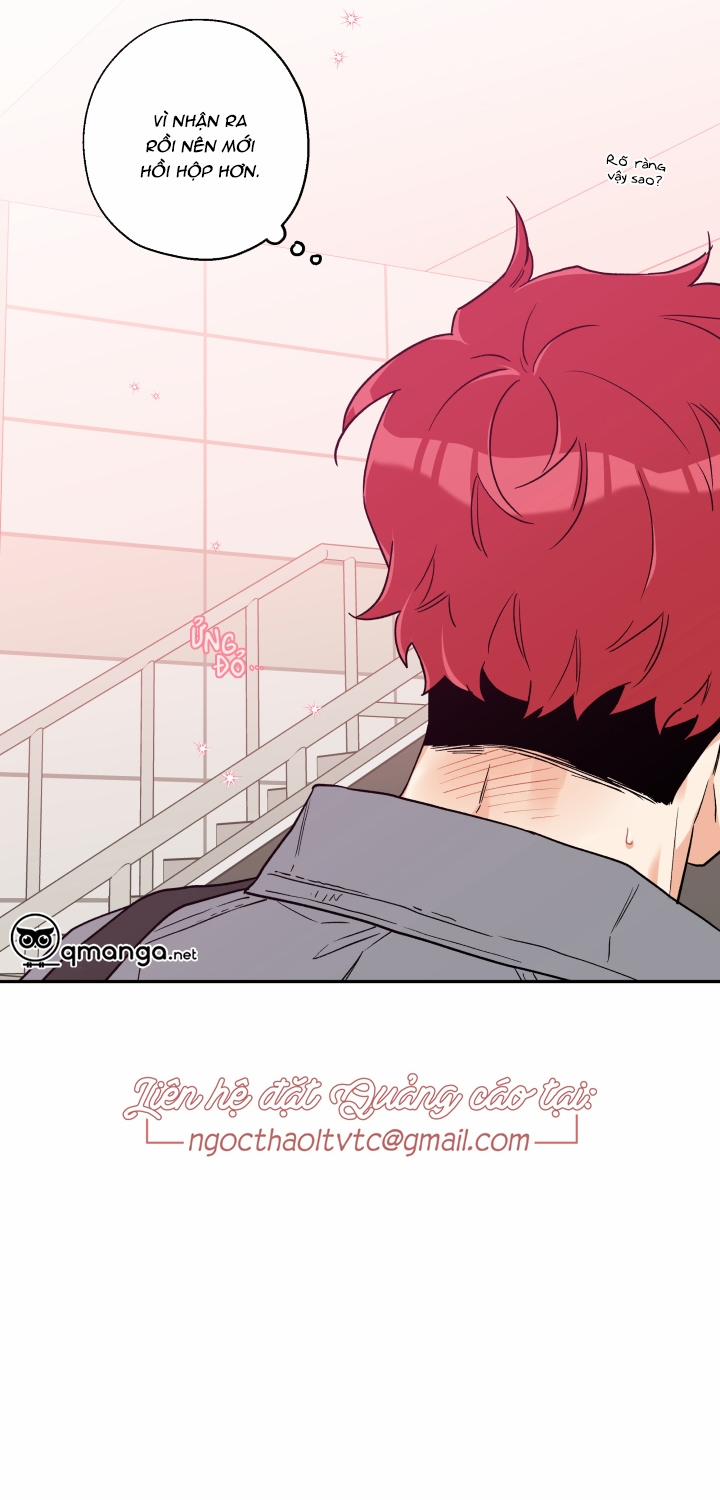 Gâu Gâu! 3 trang 23