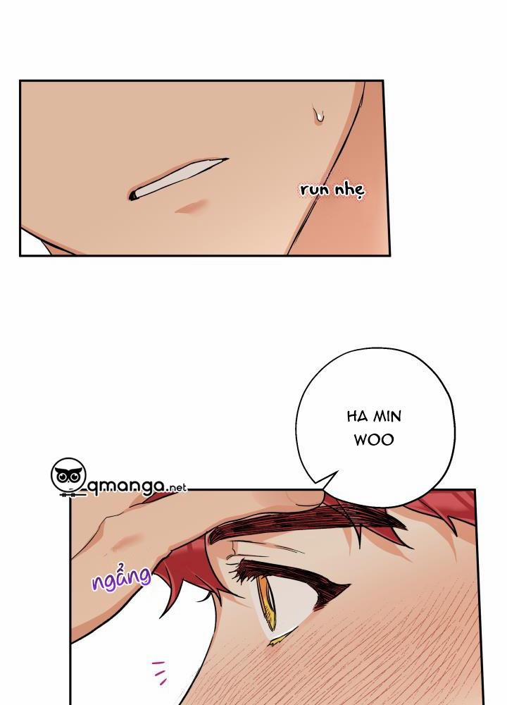 Gâu Gâu! 32 trang 25